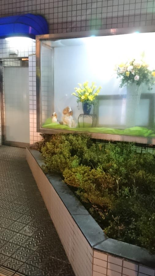 Hotel Loire (Adults Only) Osaka Exterior photo